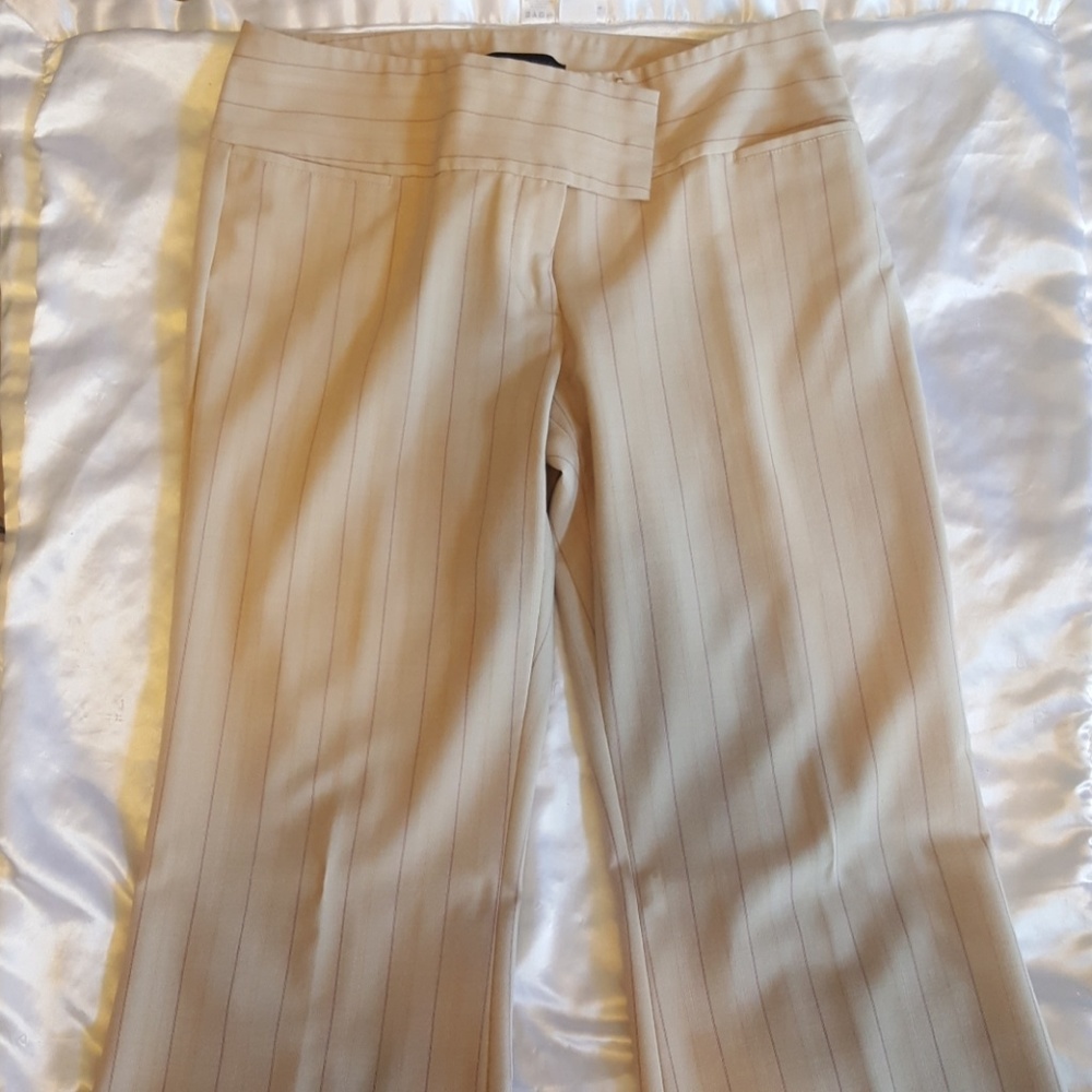 Express dress pants